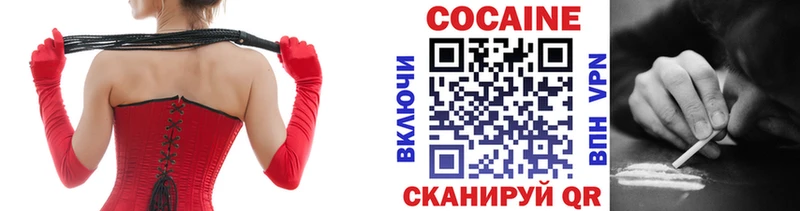 MEGA ссылка  Ставрополь  Cocaine Fish Scale  сколько стоит 