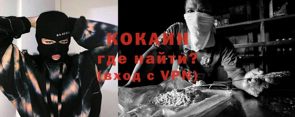 шишки Наволоки
