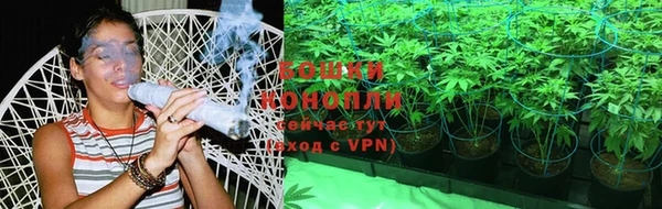 шишки Наволоки
