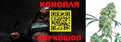 шишки Абинск