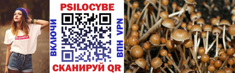 Галлюциногенные грибы мицелий  Ставрополь 