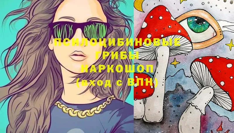 darknet клад  Ставрополь  Псилоцибиновые грибы Magic Shrooms 