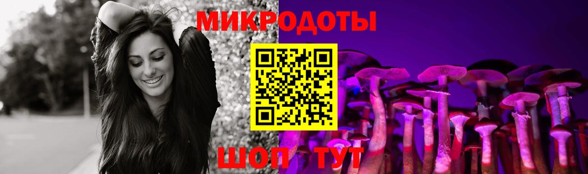 Ставрополь  Псилоцибиновые грибы мицелий  Вход с VPN 